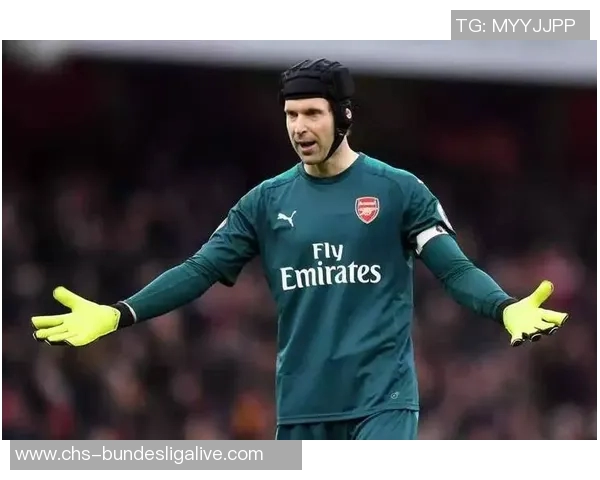 全球足球历史上最伟大的十位门将盘点与分析