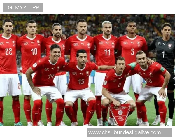 瑞典与法国足球比赛结果揭晓比分是多少让我们一起回顾精彩瞬间